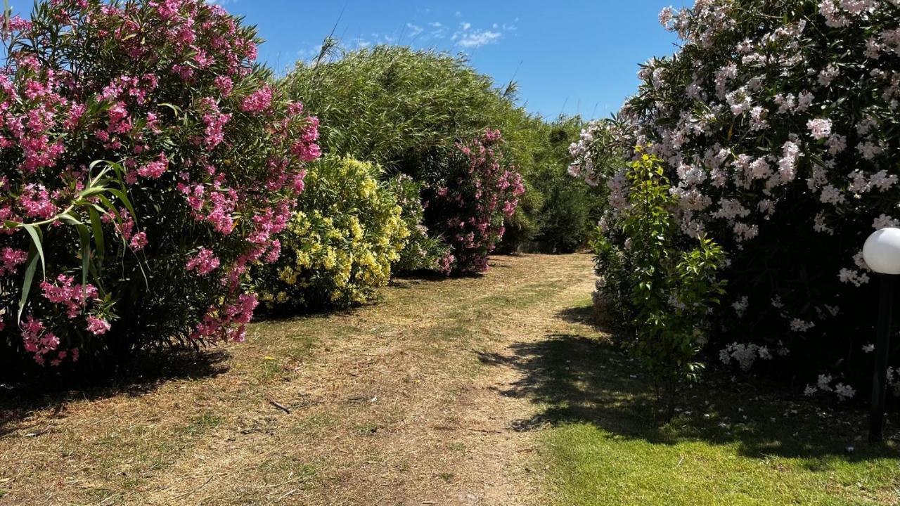 Hotel Frassetto Santa Teresa Gallura Dış mekan fotoğraf