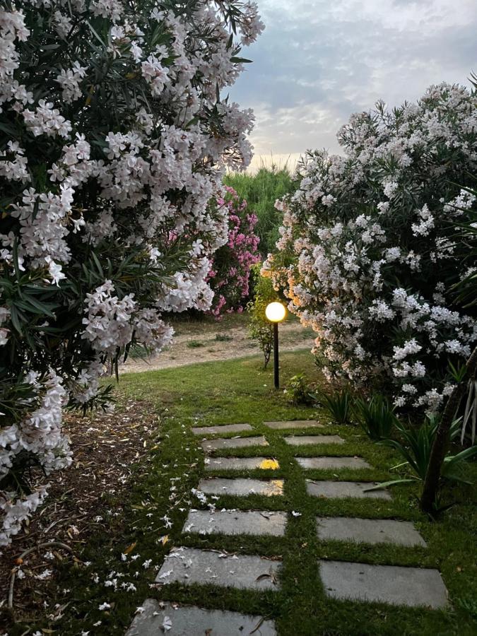 Hotel Frassetto Santa Teresa Gallura Dış mekan fotoğraf